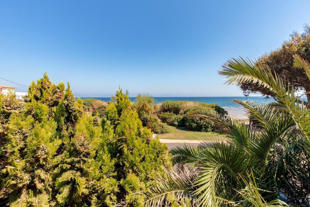 Windsurfing Seaside Apartment Artemida Artemida (Attica) Exterior foto