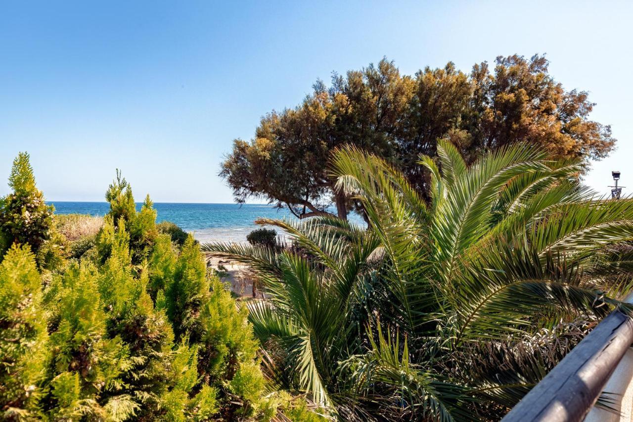 Windsurfing Seaside Apartment Artemida Artemida (Attica) Exterior foto